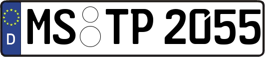 MS-TP2055