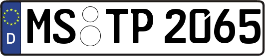 MS-TP2065