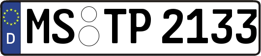 MS-TP2133