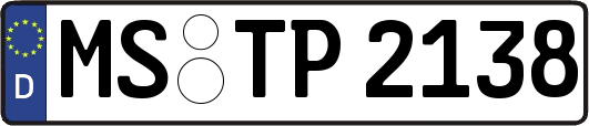 MS-TP2138