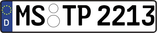 MS-TP2213