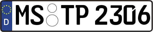 MS-TP2306