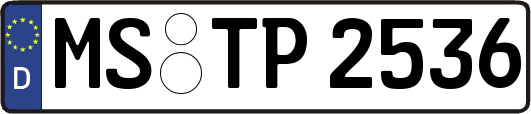 MS-TP2536