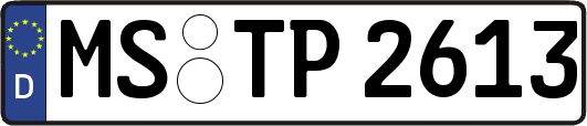 MS-TP2613
