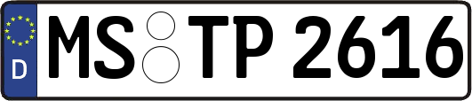 MS-TP2616