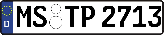 MS-TP2713
