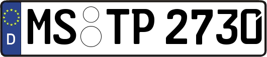 MS-TP2730