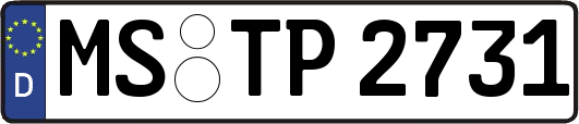 MS-TP2731