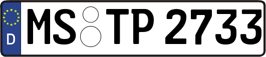 MS-TP2733