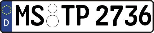 MS-TP2736