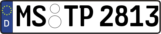 MS-TP2813