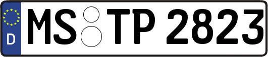 MS-TP2823