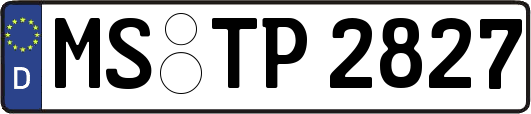 MS-TP2827