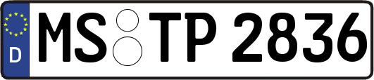 MS-TP2836
