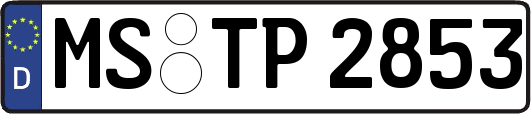 MS-TP2853