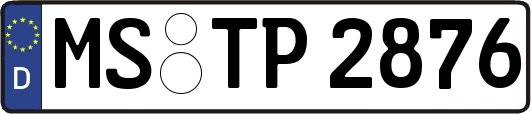 MS-TP2876