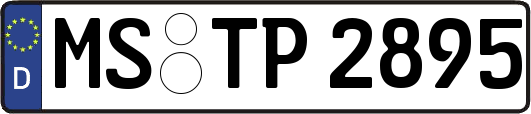 MS-TP2895