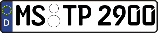 MS-TP2900