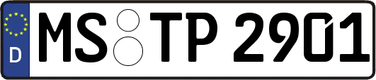 MS-TP2901