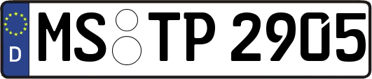 MS-TP2905