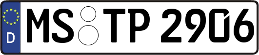 MS-TP2906