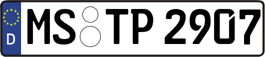 MS-TP2907