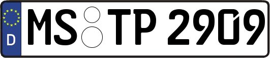 MS-TP2909