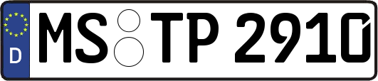 MS-TP2910