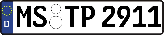 MS-TP2911