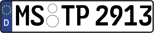 MS-TP2913