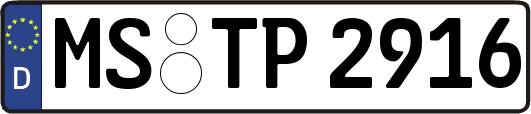 MS-TP2916