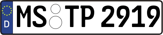 MS-TP2919