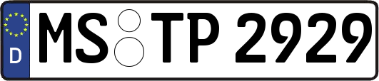 MS-TP2929