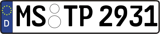 MS-TP2931