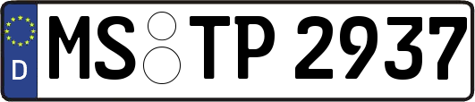 MS-TP2937