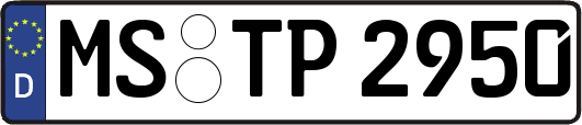 MS-TP2950