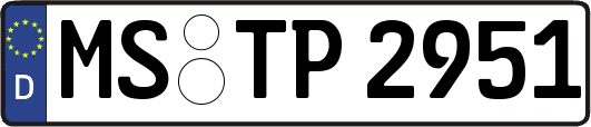 MS-TP2951
