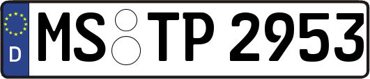 MS-TP2953