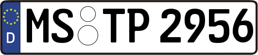 MS-TP2956