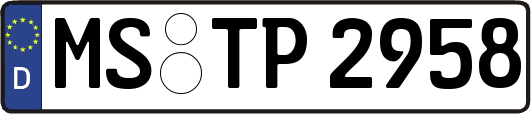 MS-TP2958