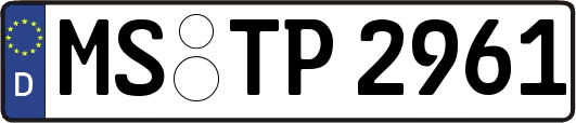 MS-TP2961