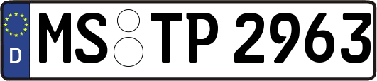 MS-TP2963