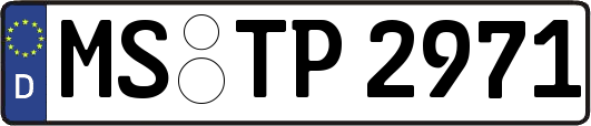 MS-TP2971