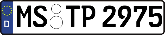 MS-TP2975