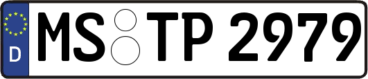 MS-TP2979