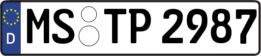 MS-TP2987