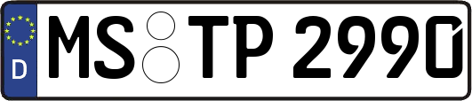 MS-TP2990