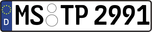 MS-TP2991