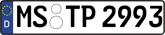 MS-TP2993