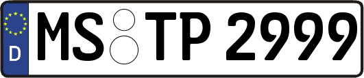 MS-TP2999
